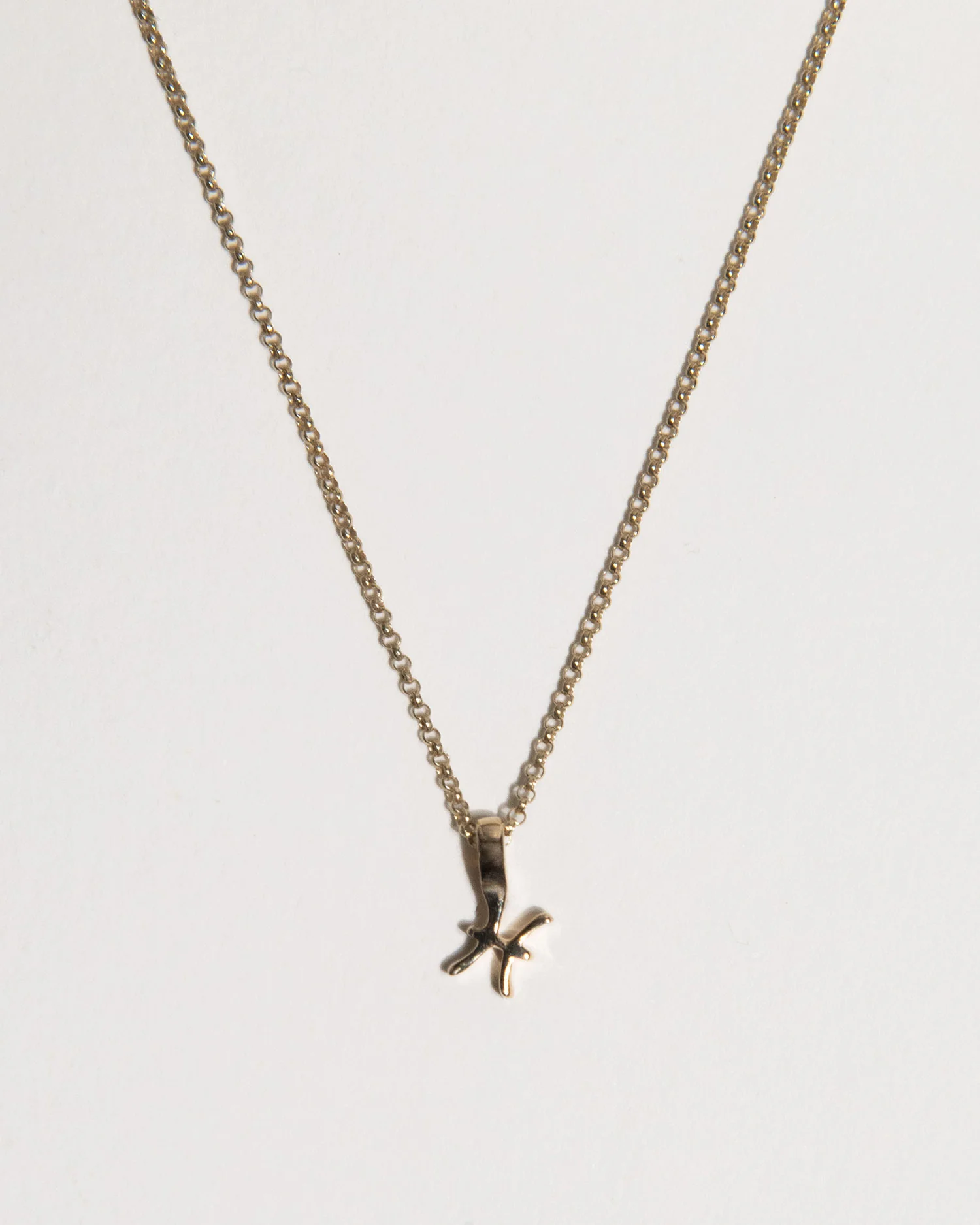 Zodiac Charm Necklace - Image 9