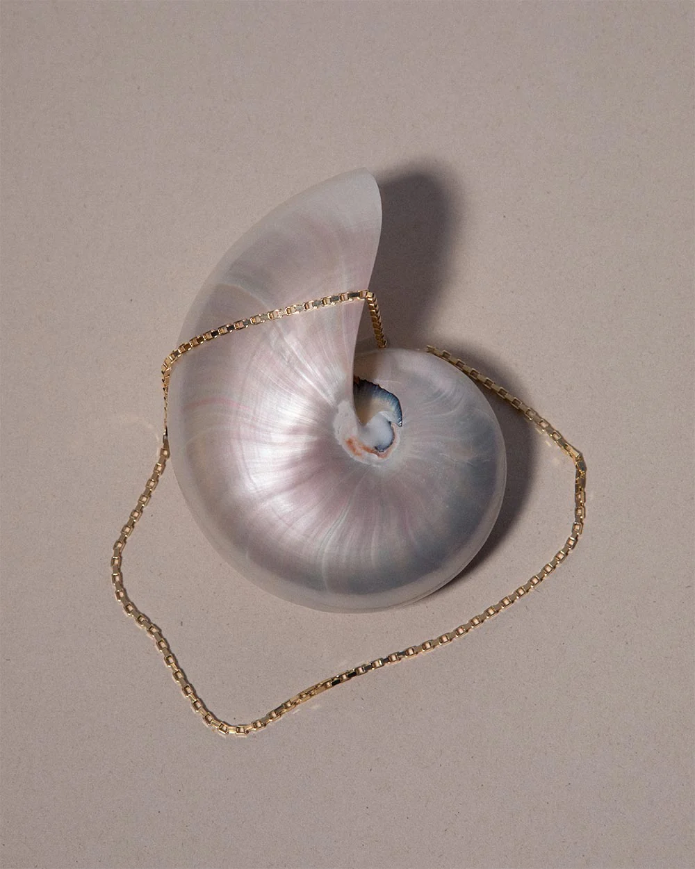Box Chain Necklace - Image 3