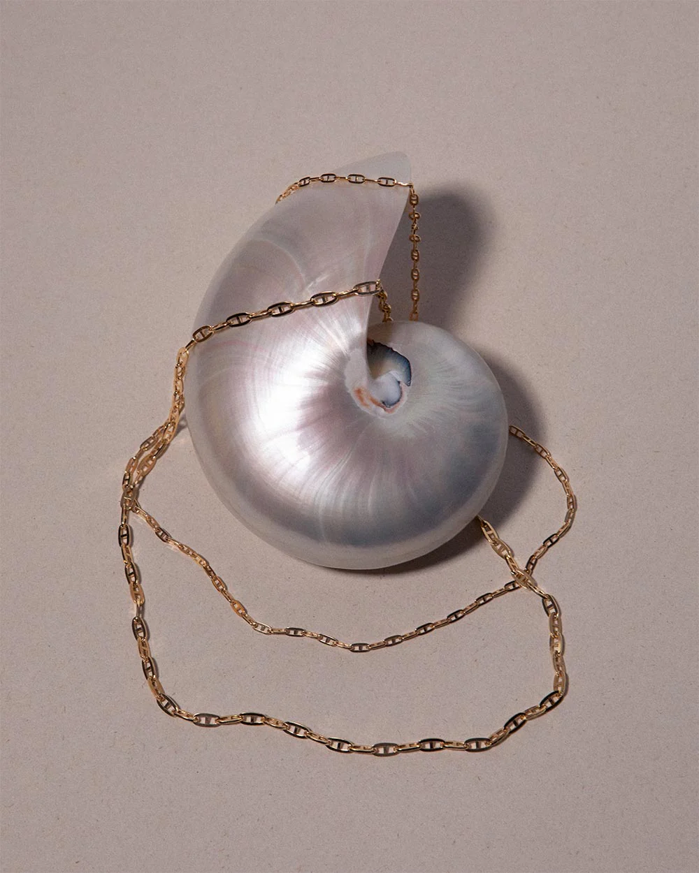 Heavy Mariner Chain Necklace - Image 4
